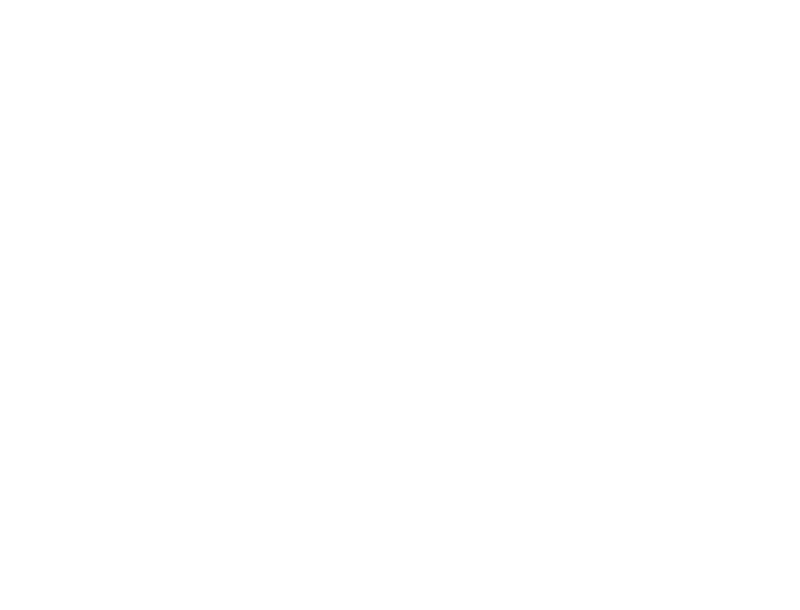 Bleckmann Logo